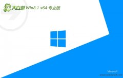 ײwin8.1 64λپƷv2025.01