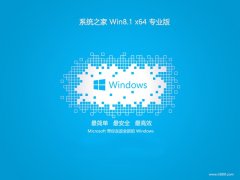 ϵͳ֮win8.1רע԰64λv2025.01